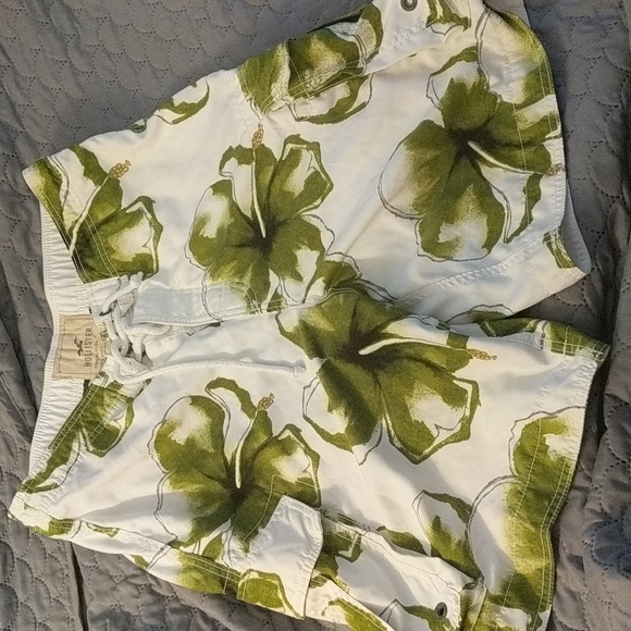 Hollister Other - Hollister Swim Trunks